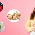 8 Superfoods To Restore Gut Lining, Reduce Inflammation, And Boost Immunity