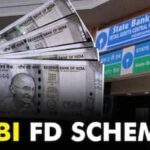 SBI Amrit Vrishti Special FD Scheme Interest Rates Revised --Check How Much You Will Get Now