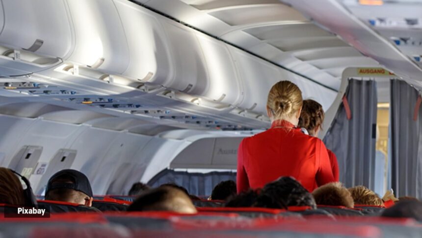cabin crew