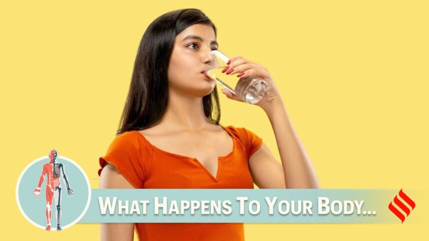 Discover the health effects of drinking 3 litres of water daily, including hydration benefits and potential risks of overhydration (Source: Freepik)