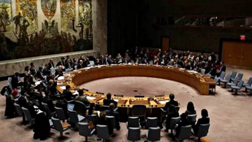 Unease in India as Pak to chair, co-chair UNSC anti-terror panels