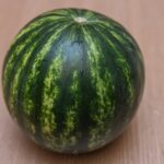 watermelon