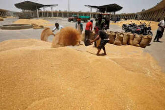 Govt fixes wheat procurement target at 34.15 million tones for 2023-24
