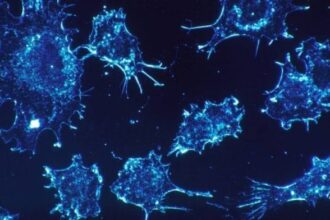 Cancer cells can survive in the body using specific enzymes | Representational image | Pixabay