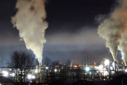 The slowdown was driven by lower power sector emissions and increased renewable energy, despite industrial growth.