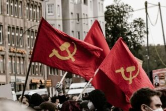 Representational image | Moises Gonzalez, Unsplash