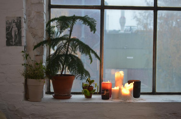Candles on window sill next to plant.