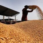Centre hikes Arthiyas commission on wheat, paddy procurement
