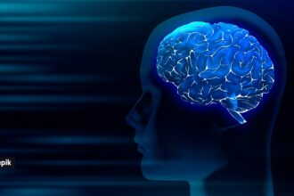 New Study Reveals Metformin Targets the Brain to Fight Diabetes