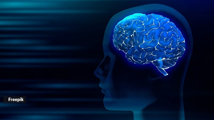 New Study Reveals Metformin Targets the Brain to Fight Diabetes