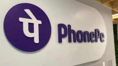 ‘Calculated strategic move’: Why PhonePe put a pause on IPO