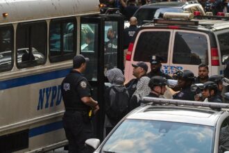 Demonstrators who occupied the Butler Library on the Columbia University campus are taken into custody in New York