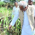 Rs 8 crore opium plantation leads to arrest, suspension of Chhattisgarh BJP leader