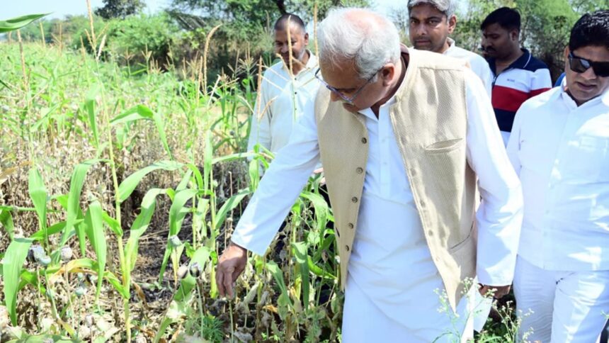 Rs 8 crore opium plantation leads to arrest, suspension of Chhattisgarh BJP leader