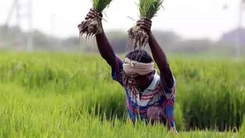 PM Kisan Yojana 2026: Check the 22nd installment date and how to verify payment.