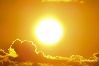 Experts weigh in on Vitamin D production