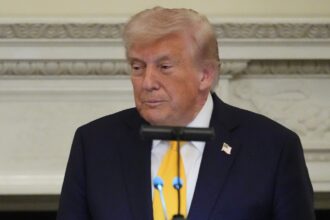 President Donald Trump