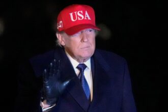 Donald Trump said the Strait of Hormuz "will have to be guarded and policed" by other nations that use it (File photo).