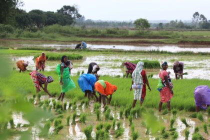 woman farmers