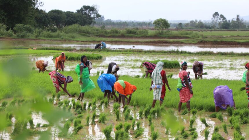 woman farmers
