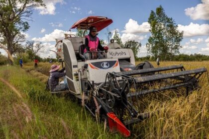 A farmer uses a combine harvester to harvest rice in Ubon Ratchathani, Thailand. Photographer: Lauren DeCicca/Getty Images via BLOOMBERG
