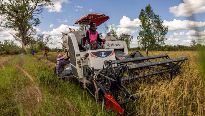 A farmer uses a combine harvester to harvest rice in Ubon Ratchathani, Thailand. Photographer: Lauren DeCicca/Getty Images via BLOOMBERG
