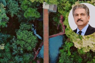Anand Mahindra