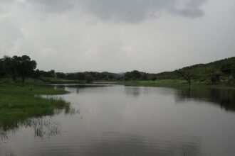 Aravari