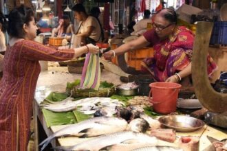 Hilsa is not just a delicacy, it’s also closely tied to Bengal’s culture. | ANI