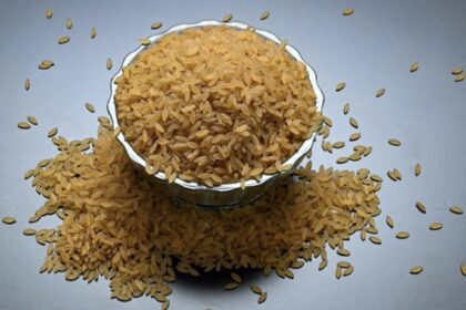 diabetic rice