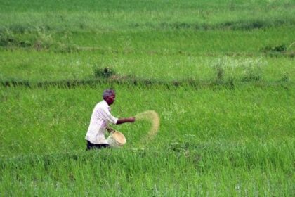 File photo of a farmer using fertilisers | Photo: ANI