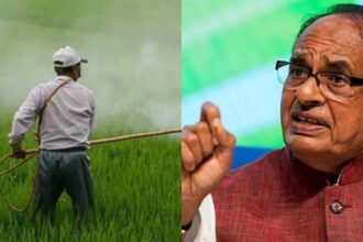 Fertiliser Shivraj SIngh Chouhan