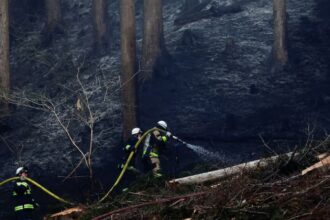 Japan wildfire