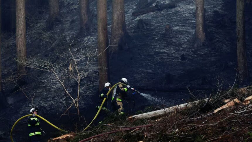 Japan wildfire