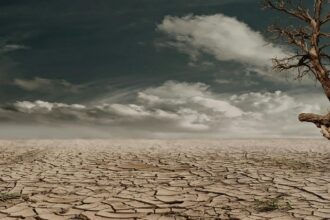 Strong El Niño to emerge in Pacific Ocean after July, says NOAA