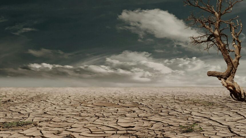 Strong El Niño to emerge in Pacific Ocean after July, says NOAA