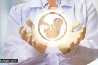 IVF