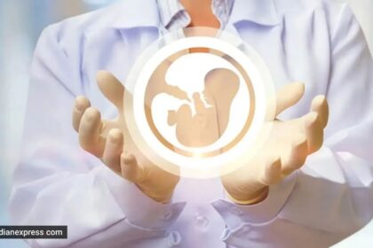IVF