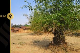 jharkhand village