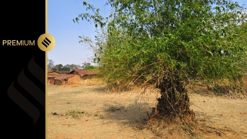 jharkhand village