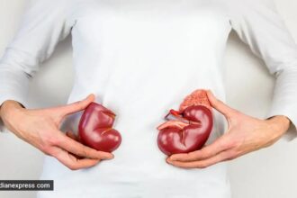 kidney health