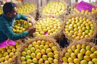 File photo of a man selling Alphonso mangoes at a shop in Mumbai's Crawford Market | ANI