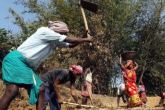 mgnregs