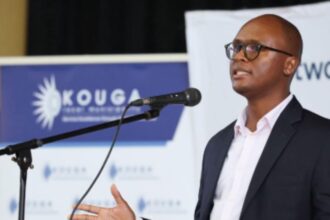 South Africa withdraws AI policy due to fake AI-generated sources