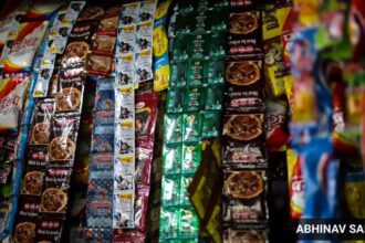 Food regulator proposes no plastic or metallised layers in pan masala packaging