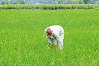 Gram Panchayat