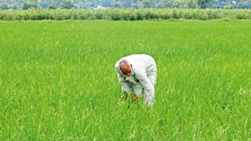 Gram Panchayat