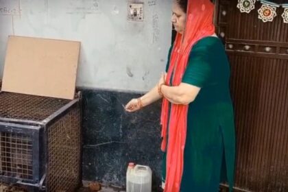 A woman does aarti for pigs kept in a cage outside her home, using incense sticks. | By special arrangement