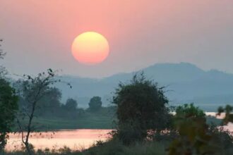 Nature Ecology Evolution study 2085 heatwave impact on biodiversity,