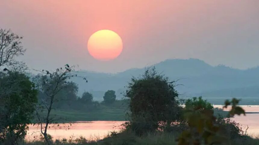 Nature Ecology Evolution study 2085 heatwave impact on biodiversity,